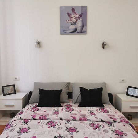 Apartmani La Grande Motte Vrdnik Exteriör bild