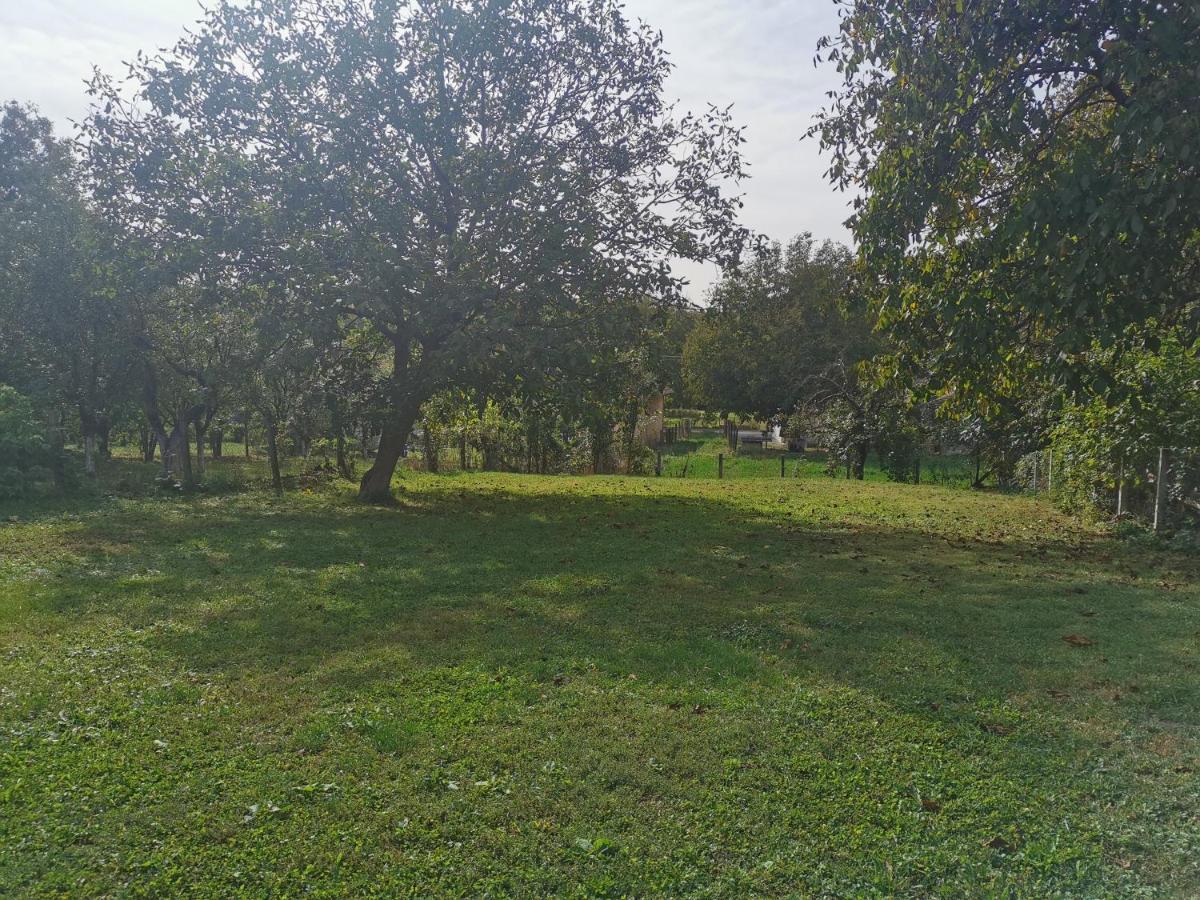 Apartmani La Grande Motte Vrdnik Exteriör bild