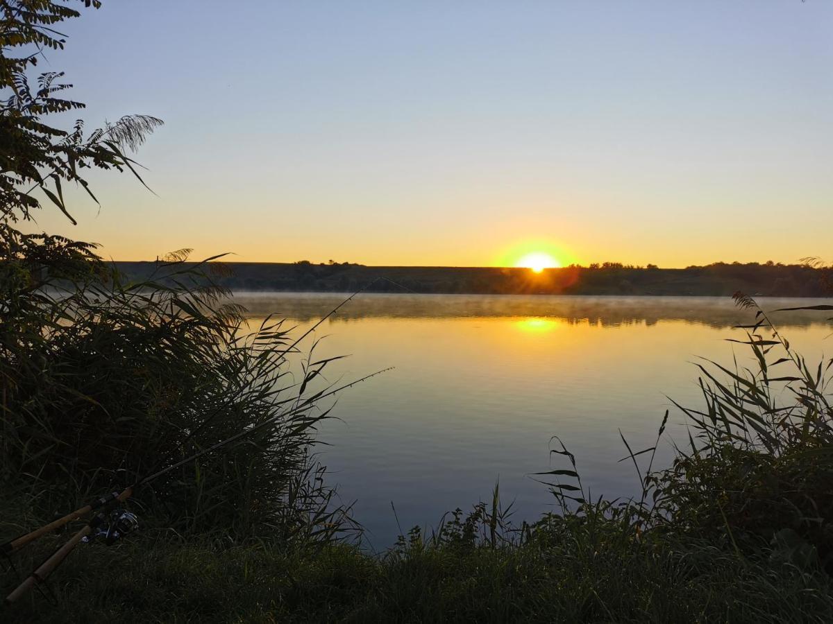 Apartmani La Grande Motte Vrdnik Exteriör bild