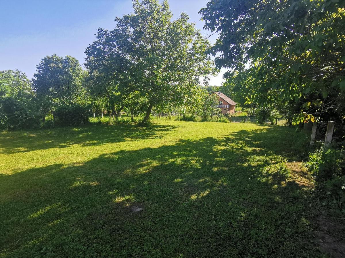 Apartmani La Grande Motte Vrdnik Exteriör bild