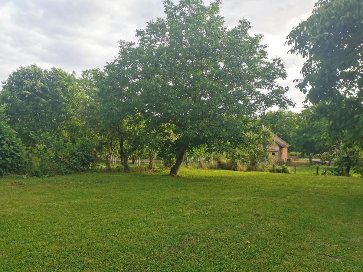 Apartmani La Grande Motte Vrdnik Exteriör bild