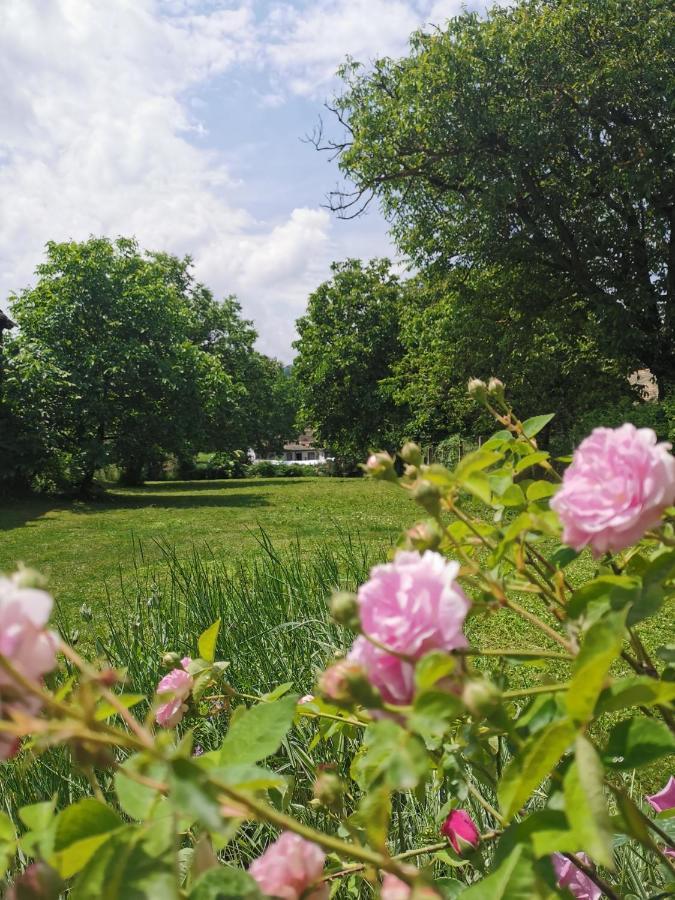 Apartmani La Grande Motte Vrdnik Exteriör bild