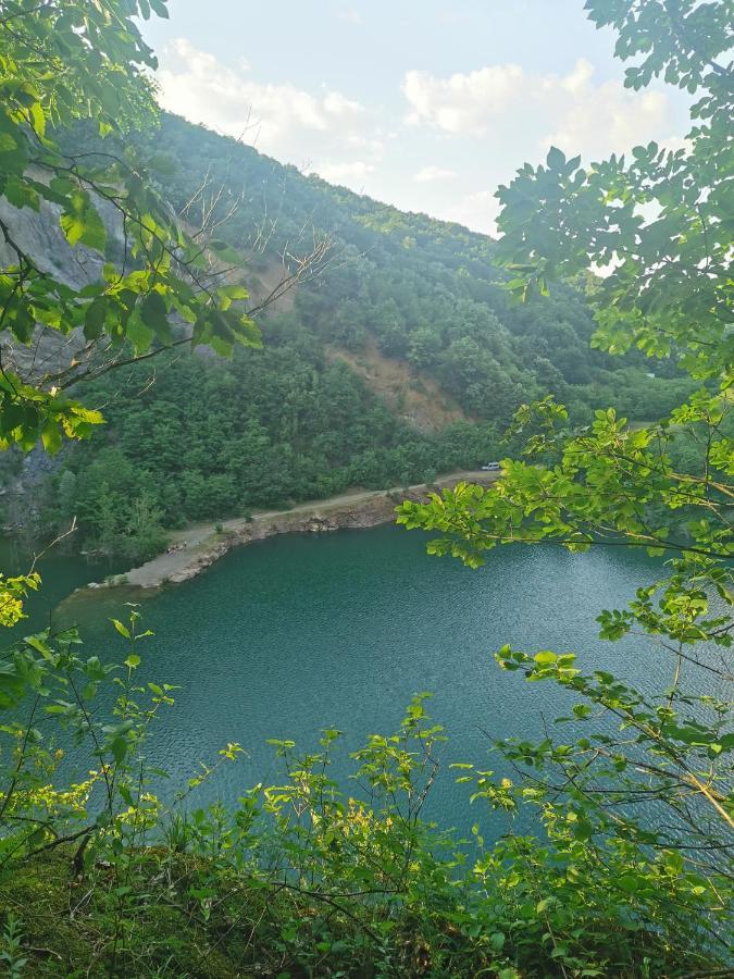 Apartmani La Grande Motte Vrdnik Exteriör bild