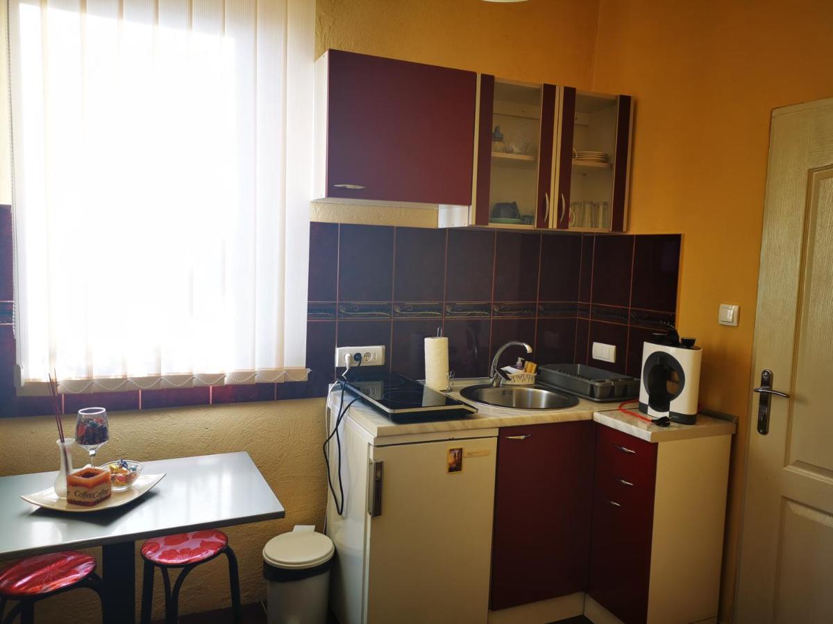 Apartmani La Grande Motte Vrdnik Exteriör bild
